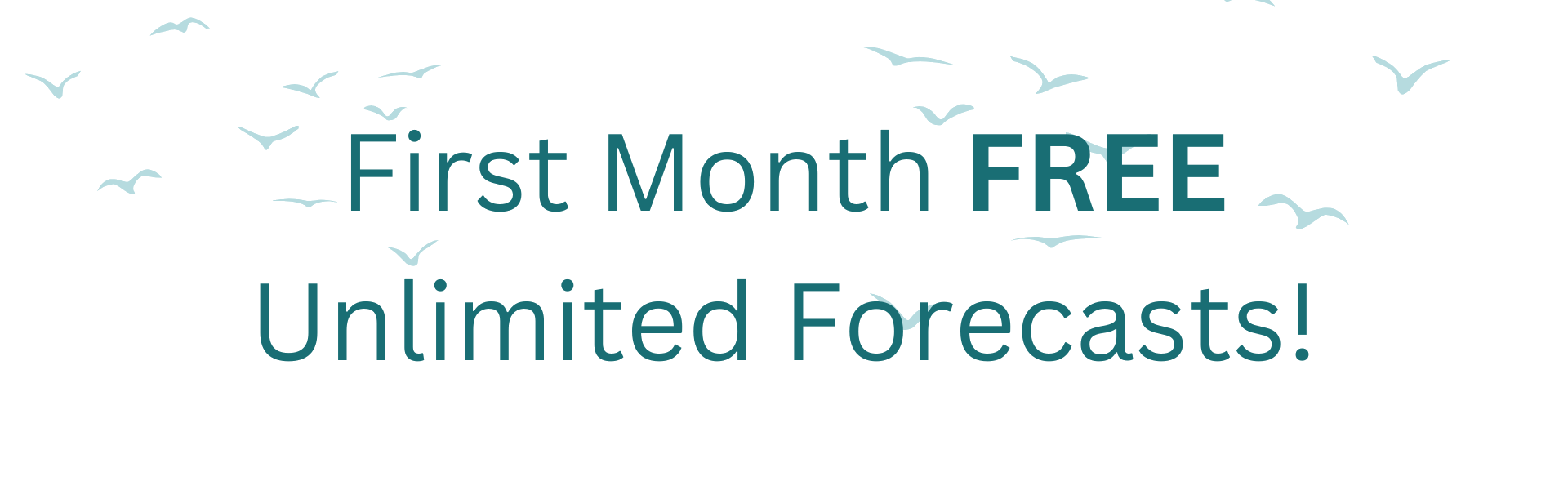 First Month Free
